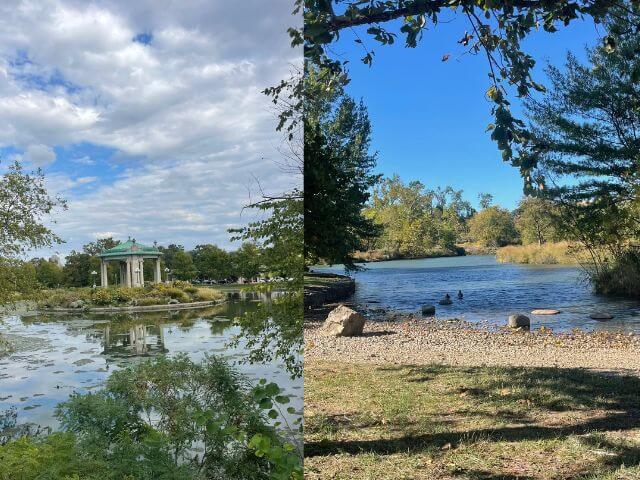 Photos of Forest Park